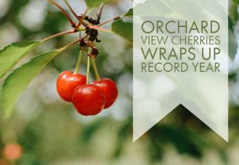 Orchard View Cherries wraps up record year