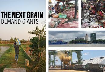 The Next Grain Demand Giants