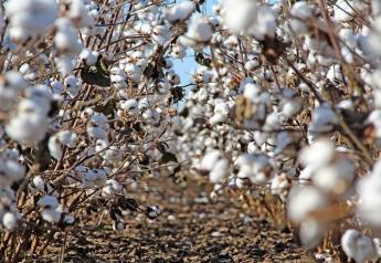 Ed Barnes, senior director of Agriculture and Environmental Research at Cotton Incorporated, says technological change is occurring at a rapid pace. “The technology to do all these things is already here,” Barnes adds. “We want to piece it together.”
