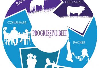 Beef supply chain value alignment