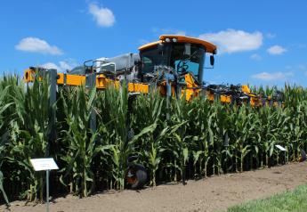 Will Shorter Corn Produce Higher Yields?