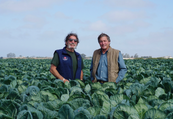Hitchcock Farms acquires Brussels sprouts grower Pfyffer Associates