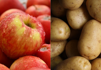 Apples, potatoes, nuts and strawberries are the leading specialty crops receiving assistance via direct payments from the Coronavirus Food Assistance Program, according to the USDA.