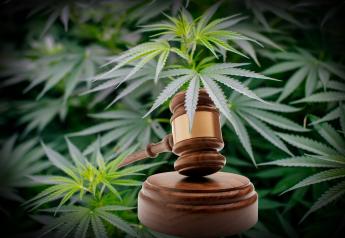 Hemp Contracts Crucial as Litigation Jumps