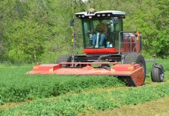 Cut alfalfa just before flowering for highest nutrient value.