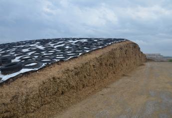 Salvaging for Silage: Tips to Minimize Loss, Maximize Value