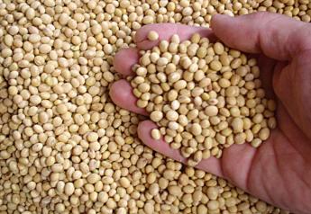 Soybean Analysis - Dec. 22