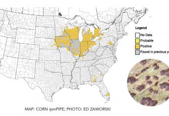 Tar Spot Found In New States, Severe Infestation Slashes Yield