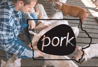 County Pork Producers Drive Activity and IPPA Membership