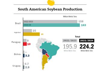 Brazilian Farmers Still have 30% of Their Soybeans to Plant