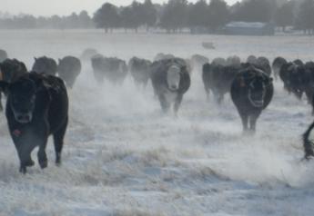 South Dakota Lawmakers Push for Quick Relief for Ranchers