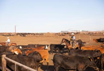 Wilson Cattle Company & Beef Northwest cast a vision for the future of beef production.