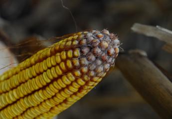What Can Your Ears Tell You About Harvest, Storage and 2021?