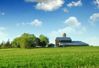 Farm boom fizzles as U.S. crop surplus expands financial strain