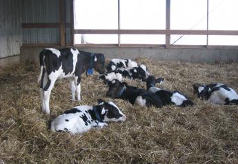 Autofeeders Shift Calf Management Time and Focus