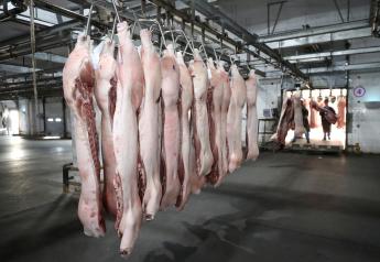 FILE PHOTO: Employees work at a pig slaughtering and pork processing plant in Huaian, Jiangsu province, China April 9, 2020. China Daily via REUTERS/File Photo
