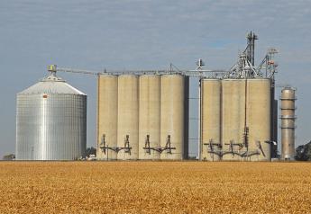 Two Plead Not Guilty to Charges Stemming from Grain Scheme