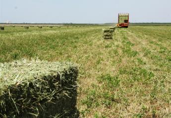 2016 Outlook: Can Hay Quality Keep Up with Demand?