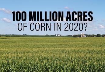 100 Million Acres of Corn in 2020?