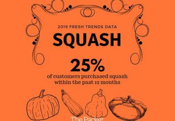 2019 Fresh Trends Data: Squash