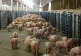 Latest Study Finds Arkansas Hog Farm Poses No Big Risk to Watershed