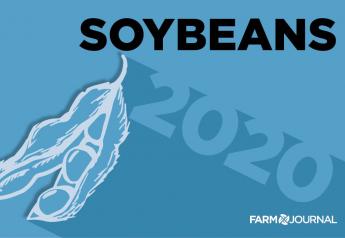 Fourth-Largest Soybean Crop Projected For 2020. What About Prices?