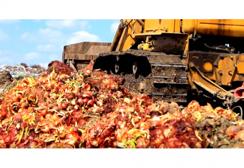Government agencies partner with alliance to fight food waste
