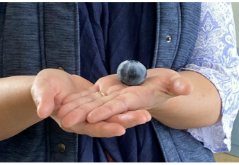 At 16.2 grams, the Ozblu berry was 3.51 grams heavier than the previous Guinness World Record blueberry,, which was also the Ozblu variety.