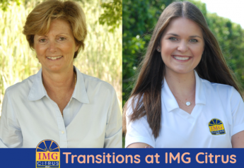 IMG Citrus VP to retire, company promotes director of sales