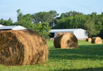 May 12 Crop Production: Hay Stocks on Farms