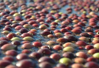 US Cranberries First Casualty of Trade War