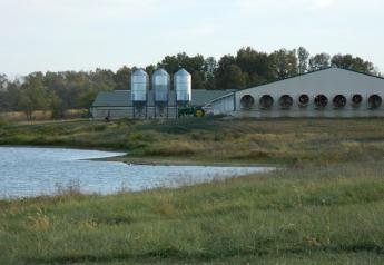 Temporary Ban on Hog Farms in River Watershed Approved