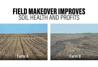 Field Makeover Improves Soil Health and Profits