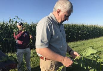 Crop Tour - Scouting beans in Illinois