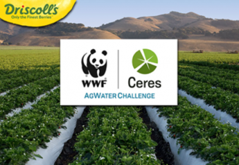 Driscoll’s takes AgWater Challenge