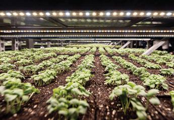 The development of indoor agriculture for growing basil and other herbs was part of the process Shenandoah Growers Inc. went through when it switched to a 100% organic operation in 2018, says Steve Wright, chief customer officer. 
