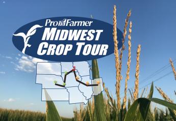 As Pro Farmer Crop Tour scouts descended on Illinois corn and soybean yields were shocking—and not in a positive way.