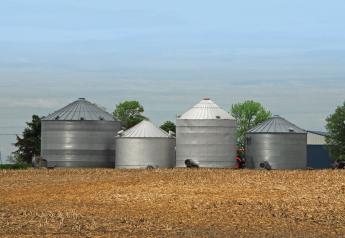 Grain storage can be a tool, but storing too long can be a major fault in grain marketing. 