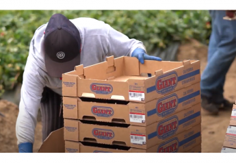 California Giant supplier Satsuma Farms hits sustainability goal