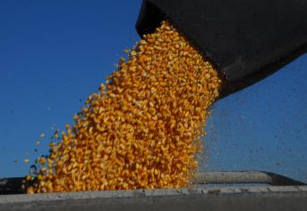 Corn Fundamentals Showing Weakness, Illinois Economist Says