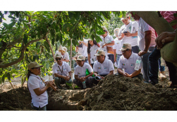 Peruvian grape grower recognized for water conservation programs