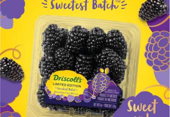 Driscoll’s launches Sweetest Batch blackberries
