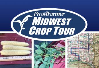Iowa's corn yields towered over neighboring states in the 2019 Pro Farmer Midwest Crop Tour.
