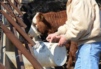 Livestock Industry Adjusts To Veterinary Feed Directive