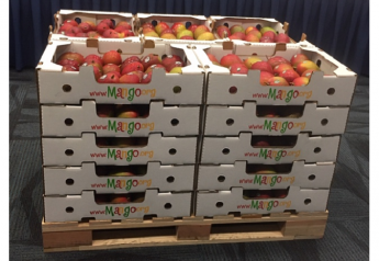 Smurfit Kappa debuts paper-based packaging for mangoes at PMA