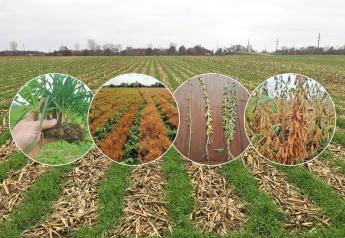 Learn more about what Jason Mauck is doing on his farm, including cover crops here.
