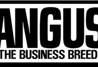 Angus_Logo