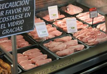 Pork Production On the Rise in Mexico