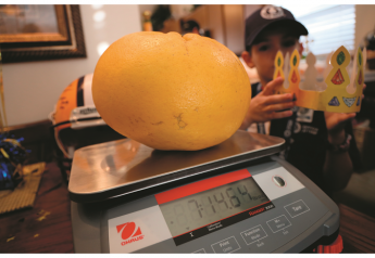 Huge Louisiana grapefruit sets records