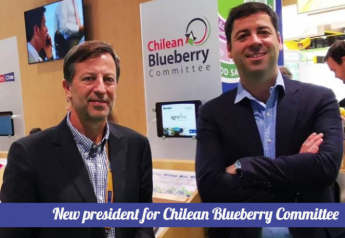 Chilean Blueberry Committee names Felipe Silva president